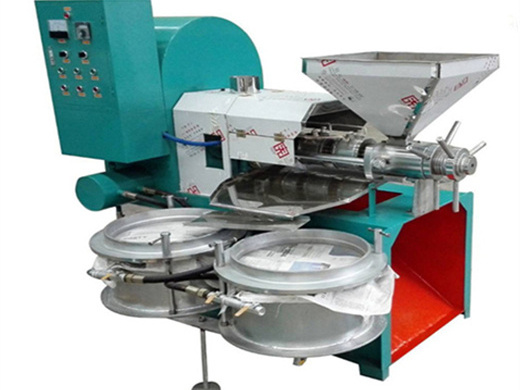 what is the castor oil processing? - palm oil mill machine